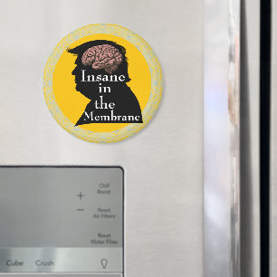 Trump/Insane Magnet