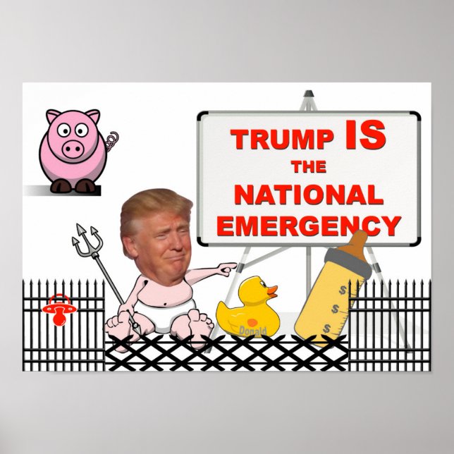Trump ist der nationale Notstand / Anti Trump, Poster (Vorne)