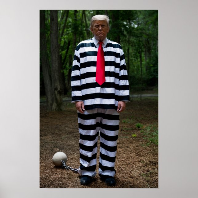 Trump Jail Poster (Vorne)