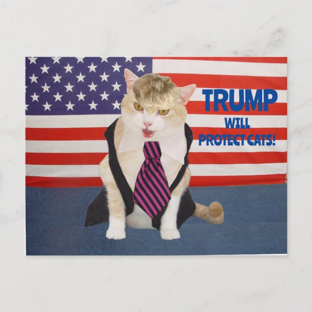 Trump Kitty Postkarte (Vorderseite)