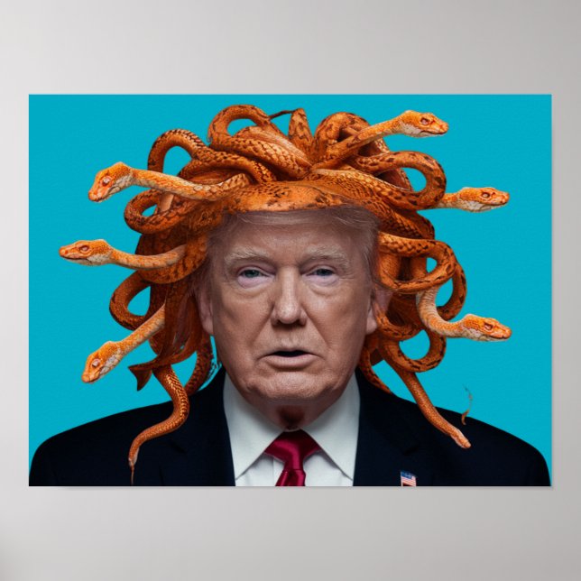 Trump Medusa Poster (Vorne)