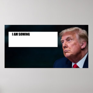 Trump-Plakat Poster