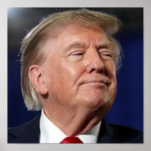 Trump-Plakat Poster