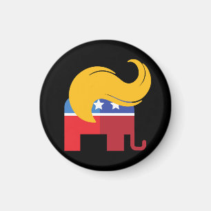 Trump Präsidentschaftswahl 2024  Magnet