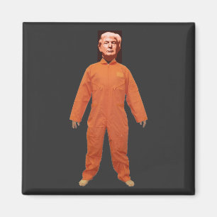 Trump Prisonnier Magnet