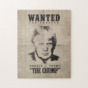 Trump Steckbrief - Trump der Trottel