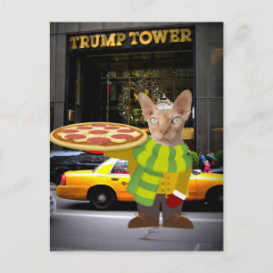 TRUMP TOWER PIZZA LIEFERT CAT POSTCARDS POSTKARTE