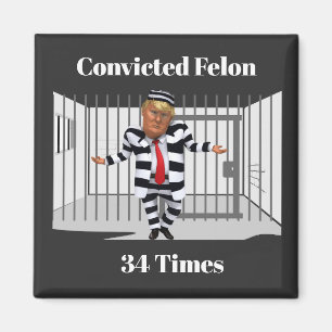 Trump Verurteilter Verbrecher Magnet
