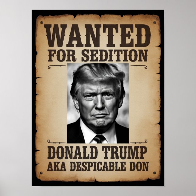 Trump Wanted Poster (Devant)