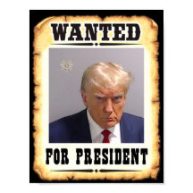 Trump Wollte für Präsident Poster