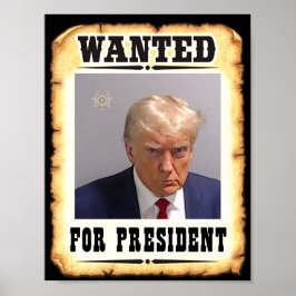 Trump Wollte für Präsident Poster