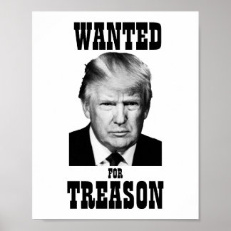Trump Wollte Poster Treason