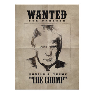 Trump Wollte Poster - Trump der Trumps