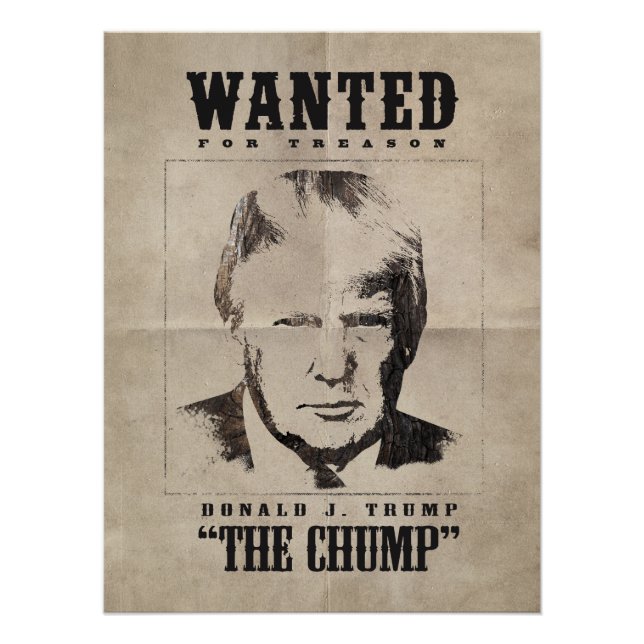 Trump Wollte Poster - Trump der Trumps (Vorderseite)