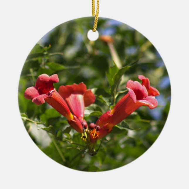 Trumpet Vine Blume Ornament (Vorne)