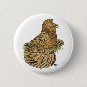 Trumpeter Pigeon Almond Button