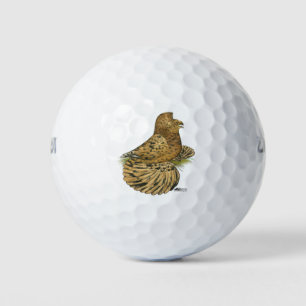 Trumpeter Pigeon Almond Golfball