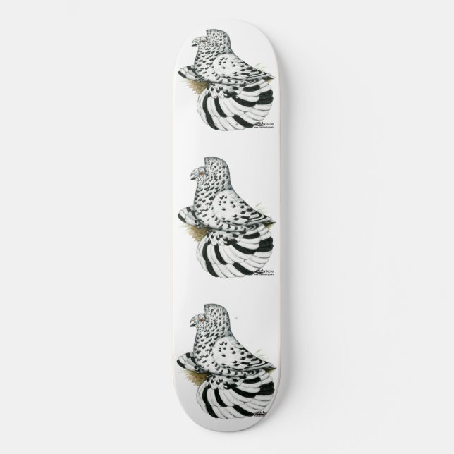 Trumpeter Pigeon Light Splash Skateboard (Vorderseite)