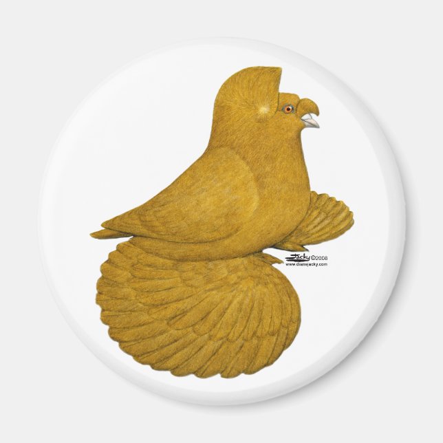 Trumpeter Pigeon Yellow Magnet (Vorne)