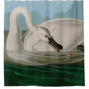 Trumpeter Swan Birds of America Audubon Print Duschvorhang