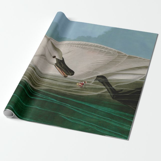 Trumpeter Swan Birds of America Audubon Print Geschenkpapier (Ungerollt)