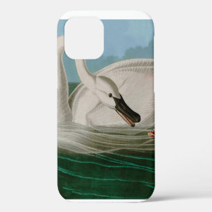 Trumpeter Swan Birds of America Audubon Print iPhone 12 Hülle