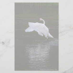 Trumpeter Swan Briefpapier