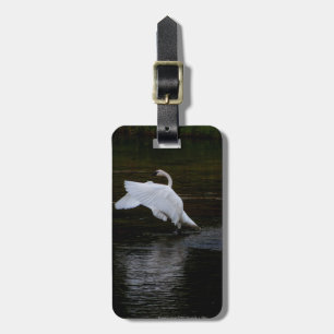 Trumpeter Swan Gepäckanhänger