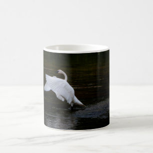 Trumpeter Swan Kaffeetasse