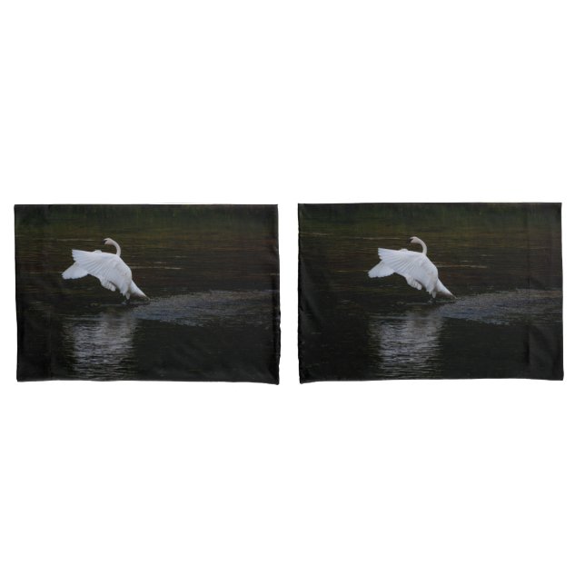 Trumpeter Swan Kissenbezug (Vorderseite-Set)