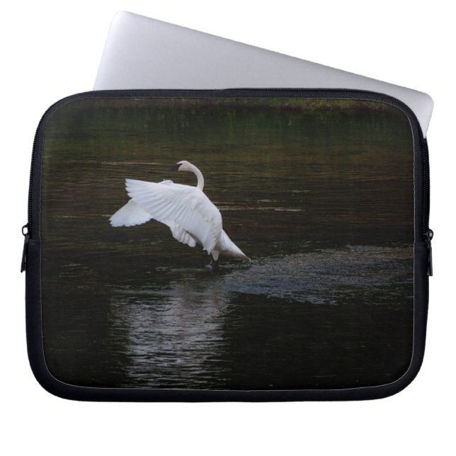 Trumpeter Swan Laptopschutzhülle (Vorderseite)