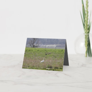 Trumpeter Swan San Juan Island Birthday|Beileid Karte
