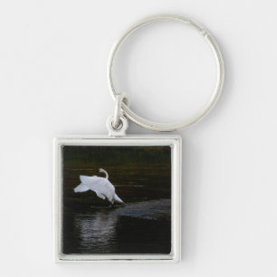 Trumpeter Swan Schlüsselanhänger