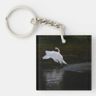 Trumpeter Swan Schlüsselanhänger