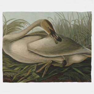 Trumpeter Swan - von Audubons Vögeln Amerikas Fleecedecke