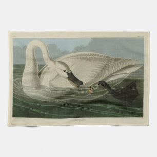 Trumpeter Swan - von Audubons Vögeln Amerikas Geschirrtuch