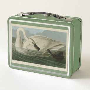 Trumpeter Swan - von Audubons Vögeln Amerikas Metall Brotdose