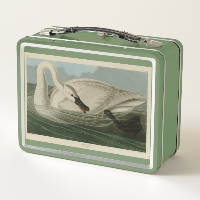 Trumpeter Swan - von Audubons Vögeln Amerikas Metall Brotdose (Rückseite)