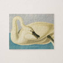 Trumpeter Swan von John James Audubon, Vintager Bi