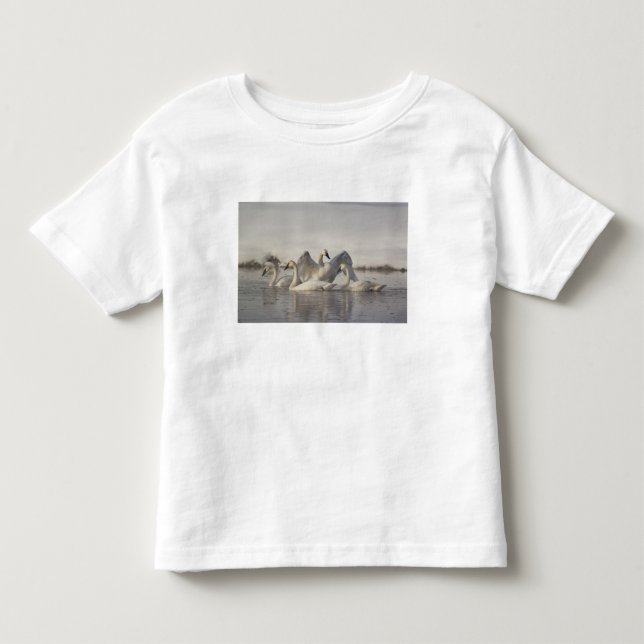 Trumpeter Swans im Madison River im Winter Kleinkind T-shirt (Vorderseite)