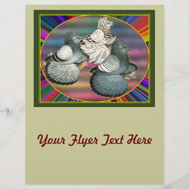 Trumpeters Pigeons Drei Flyer (Vorne)