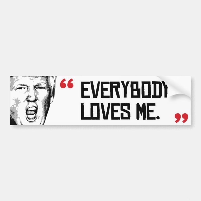 Trumpf sagt - jeder Lieben ich - .png Autoaufkleber (Vorne)