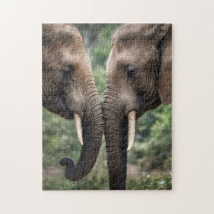 "Trunk to Trunk: Eine sanfte ElefantenEmbrace"
