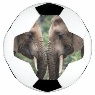 "Trunk to Trunk: Eine sanfte ElefantenEmbrace" Fußball