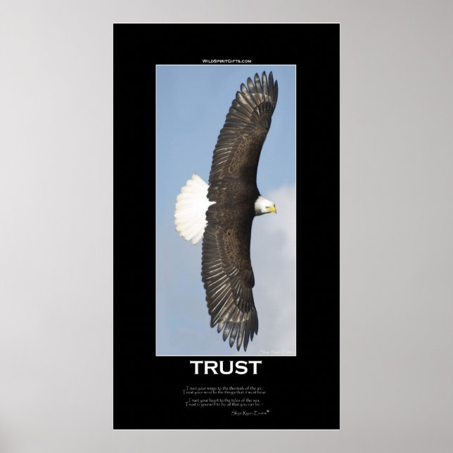 TRUST Bald Eagle Motivierend Poster (Vorne)