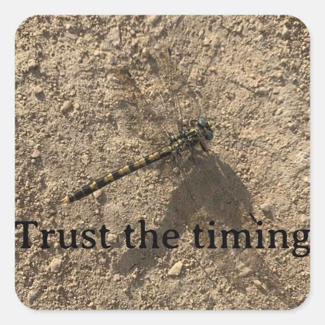 Trust the Timing Sticker (Vorderseite)