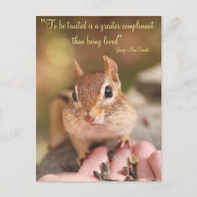 Trusted Chipmunk Postkarte (Vorderseite)