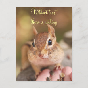 Trusted Chipmunk Postkarte