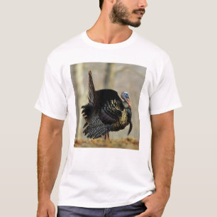 Truthahn beim Balzen, Illinois T-Shirt