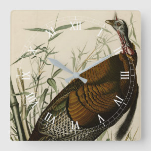 Truthahn (Männchen) aus Audubons Birds of America Quadratische Wanduhr